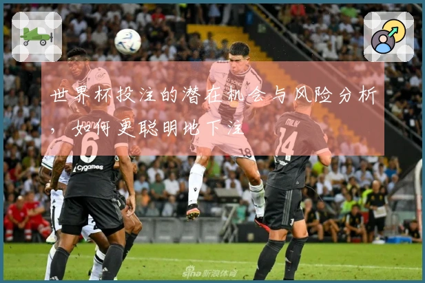 世界杯投注的潜在机会与风险分析，如何更聪明地下注