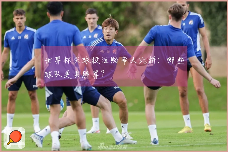 世界杯买球投注赔率大比拼：哪些球队更具胜算？