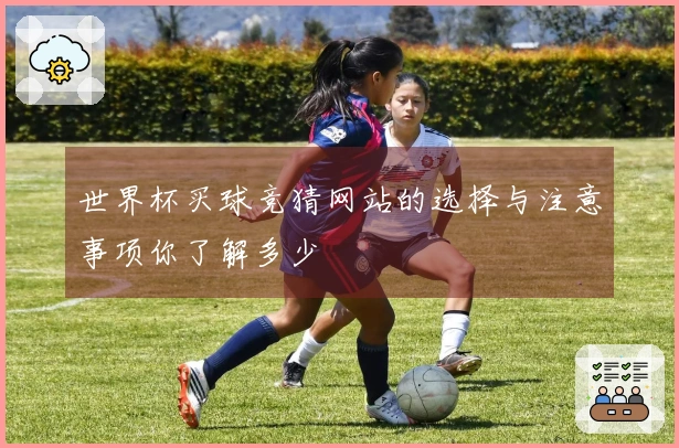 世界杯买球竞猜网站的选择与注意事项你了解多少
