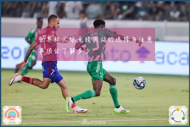世界杯买球竞猜网站的选择与注意事项你了解多少