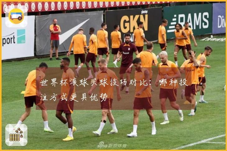 世界杯滚球买球技巧对比：哪种投注方式更具优势