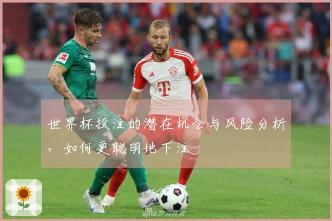 世界杯投注的潜在机会与风险分析，如何更聪明地下注