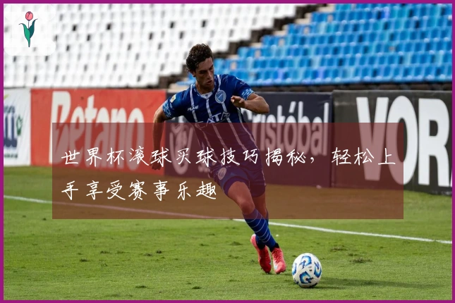 世界杯滚球买球技巧揭秘，轻松上手享受赛事乐趣