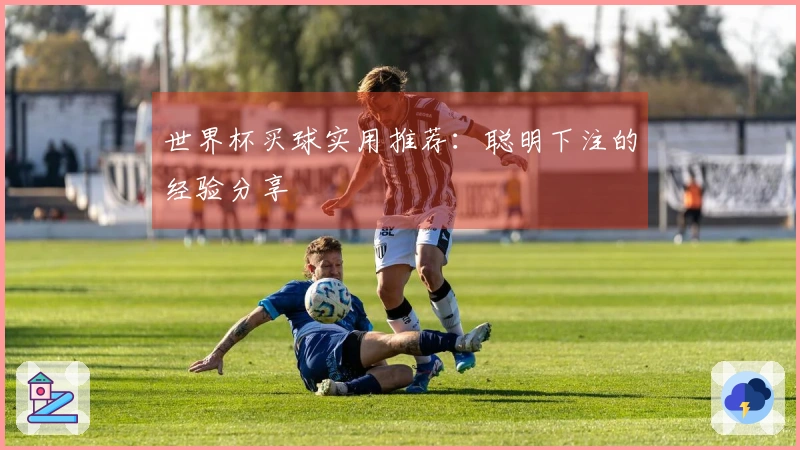 世界杯买球实用推荐：聪明下注的经验分享