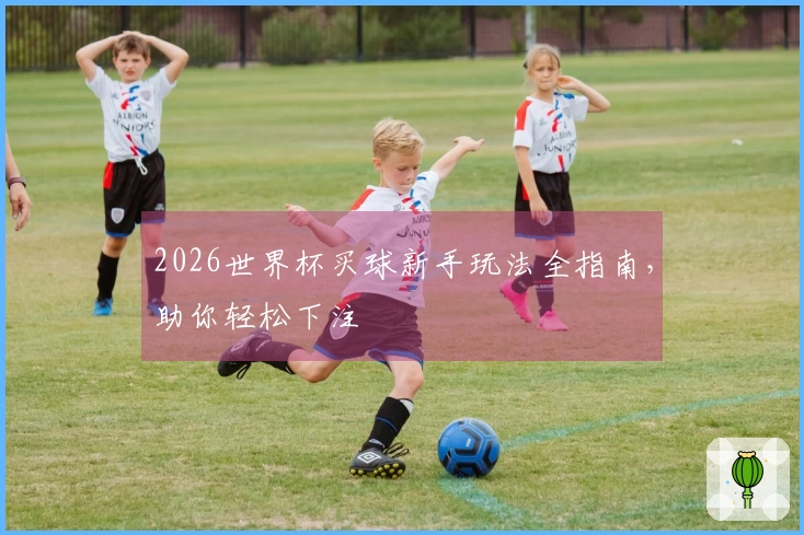 2026世界杯买球新手玩法全指南，助你轻松下注